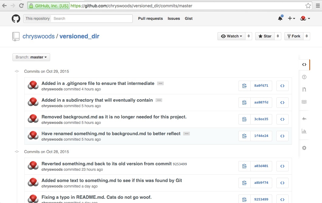 Image of the GitHub commits page