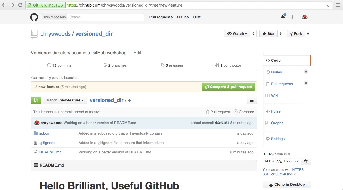 Image of GitHub pull request